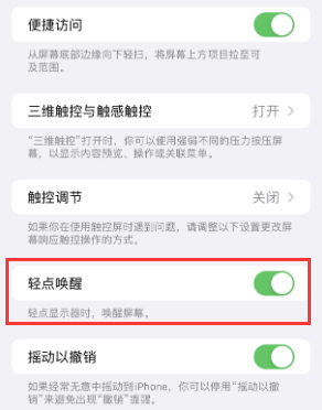 新竹镇苹果授权维修站分享iPhone轻点无法唤醒怎么办 