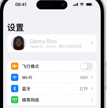 新竹镇appleID维修服务iPhone设置中Apple ID显示为灰色无法使用 