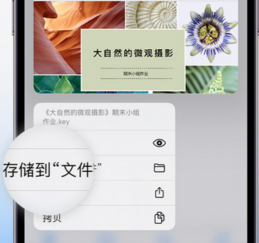 新竹镇apple维修中心分享iPhone文件应用中存储和找到下载文件