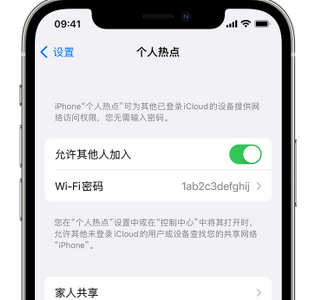 新竹镇apple服务站点分享iPhone上个人热点丢失了怎么办 