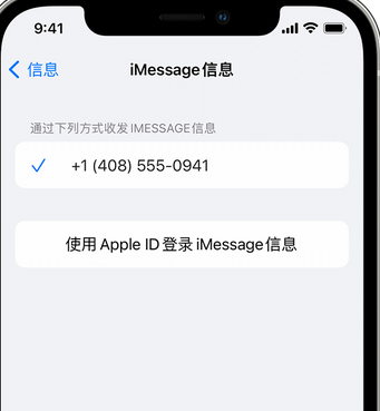 新竹镇apple维修iPhone上无法正常发送iMessage信息 