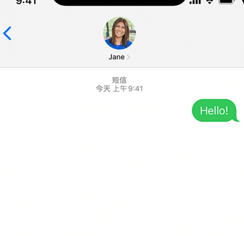 新竹镇apple维修iPhone上无法正常发送iMessage信息