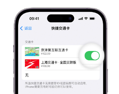 新竹镇apple维修点分享iPhone上更换Apple Pay快捷交通卡手绘卡面 