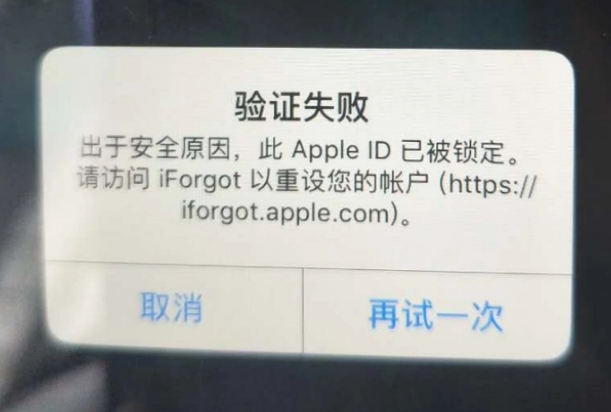 新竹镇iPhone维修分享iPhone上正常登录或使用AppleID怎么办 