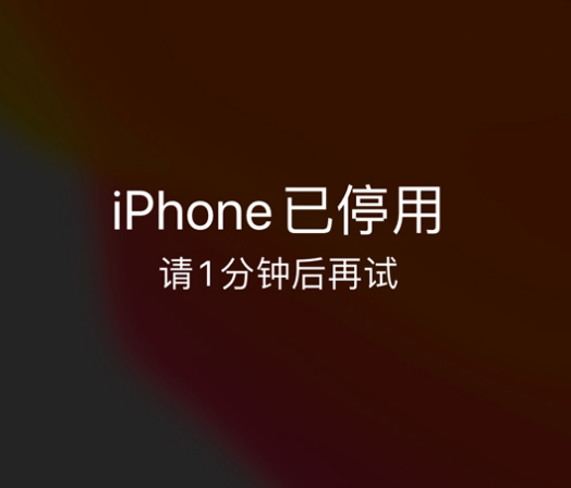 新竹镇苹果手机维修分享:iPhone 显示“不可用”或“已停用”怎么办？还能保留数据吗？ 