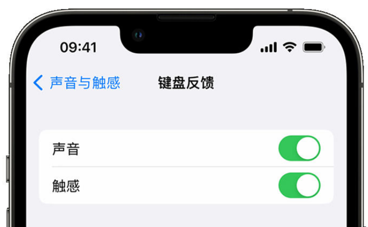 新竹镇苹果手机维修分享iPhone 14触感键盘使用方法 