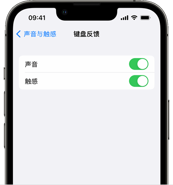 新竹镇苹果14维修店分享如何在 iPhone 14 机型中使用触感键盘 