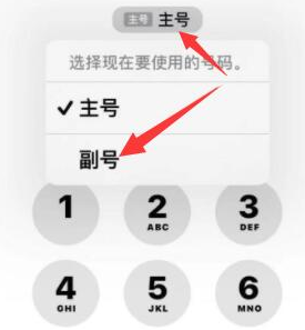 新竹镇苹果14维修店分享iPhone 14 Pro Max使用副卡打电话的方法 