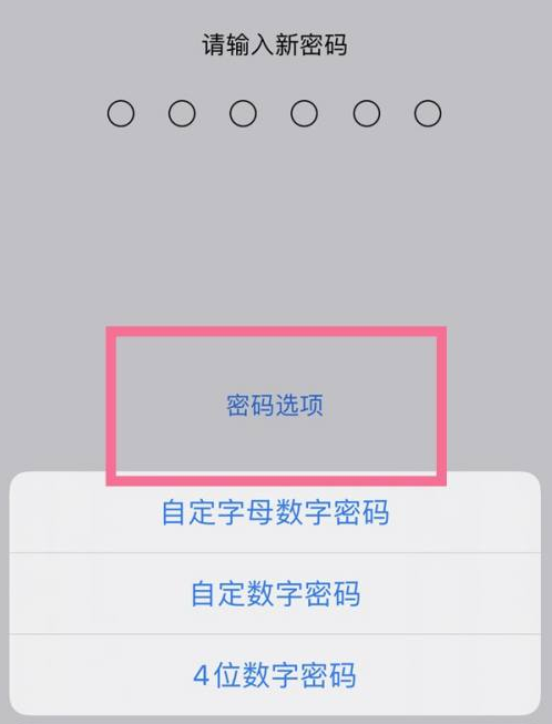 新竹镇苹果14维修分享iPhone 14plus设置密码的方法 