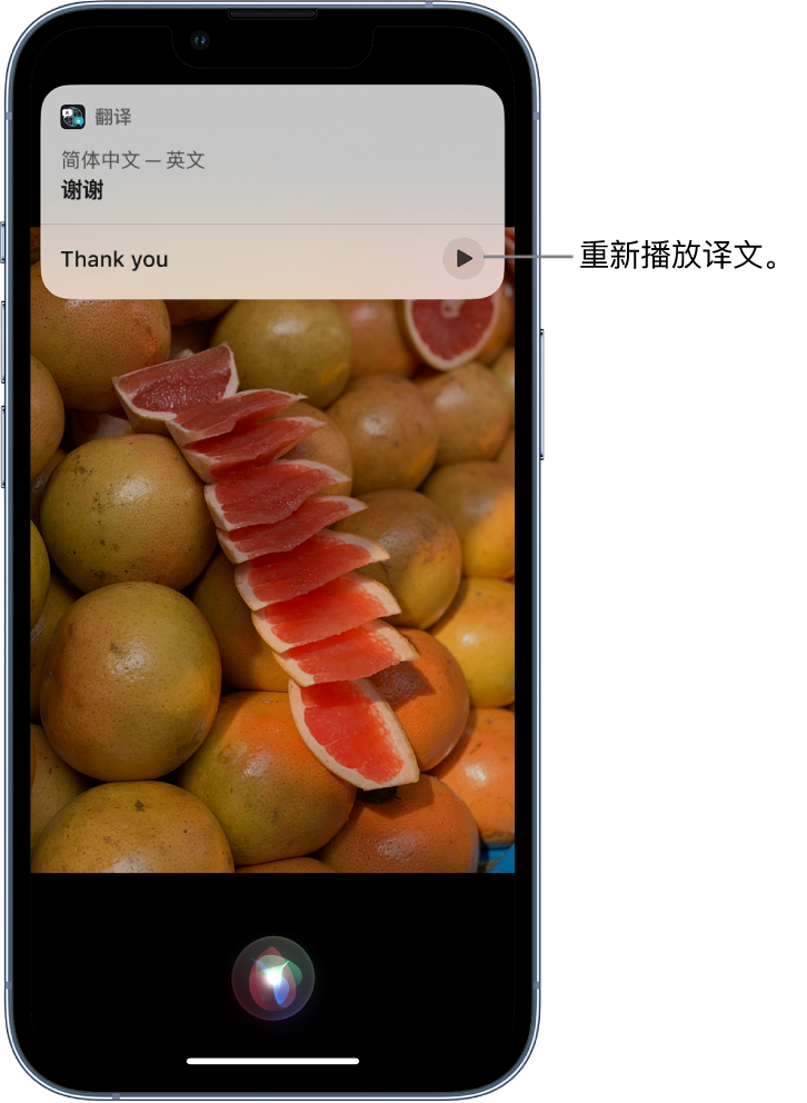 新竹镇苹果14维修分享 iPhone 14 机型中使用 Siri：了解 Siri 能帮你做什么 