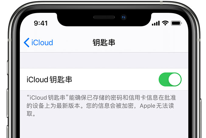 新竹镇苹果手机维修分享在 iPhone 上开启 iCloud 钥匙串之后会储存哪些信息 