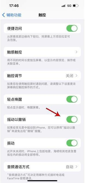 新竹镇苹果手机维修分享iPhone手机如何设置摇一摇删除文字 